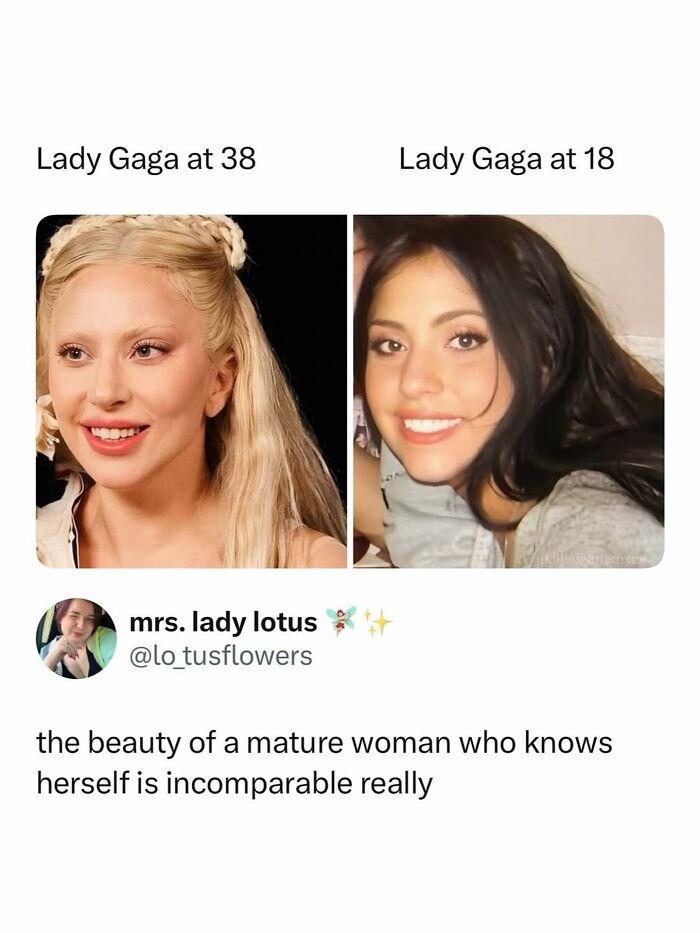 Let's Dive Into 70 Hilarious Memes You Totally Need to See