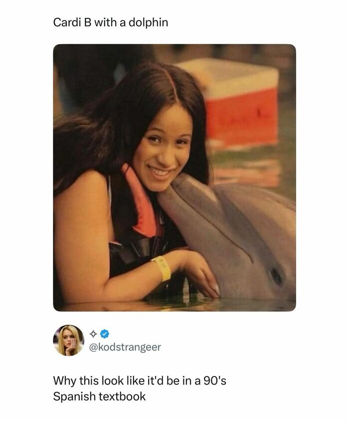 Let's Dive Into 70 Hilarious Memes You Totally Need to See