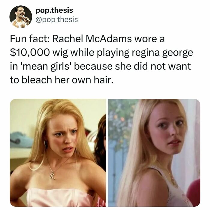 Let's Dive Into 70 Hilarious Memes You Totally Need to See