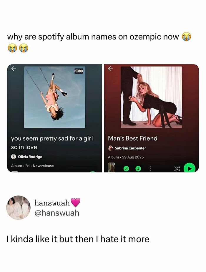 Let's Dive Into 70 Hilarious Memes You Totally Need to See