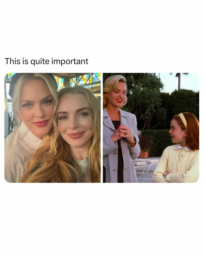 Let's Dive Into 70 Hilarious Memes You Totally Need to See