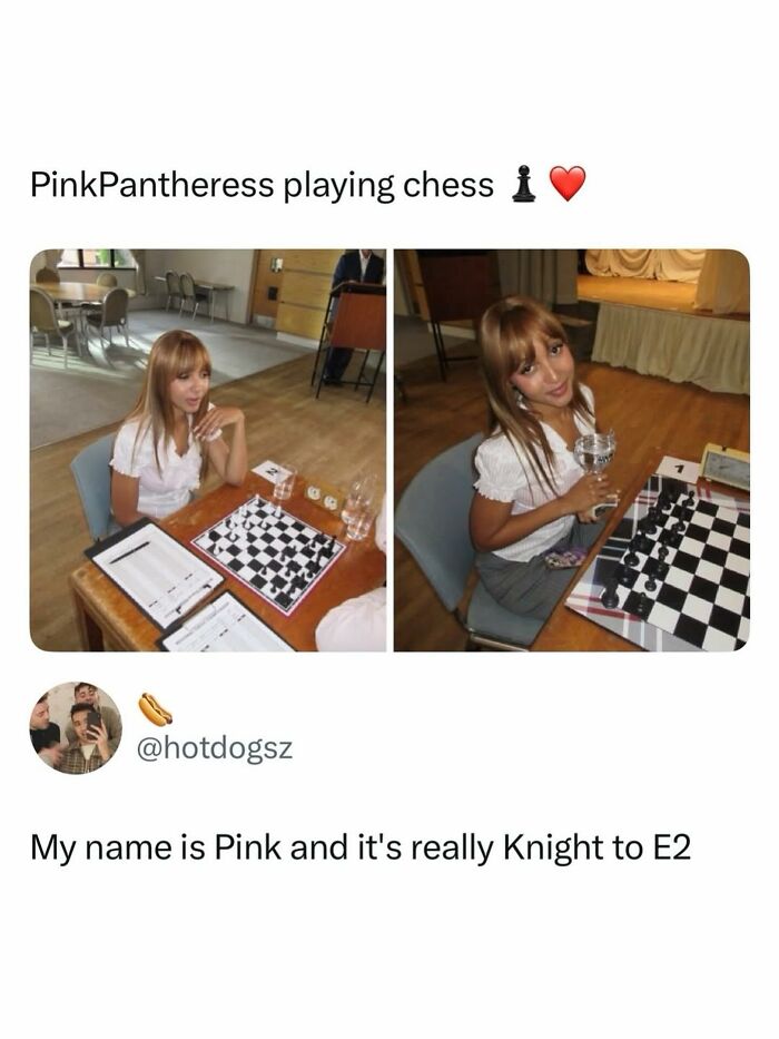 Let's Dive Into 70 Hilarious Memes You Totally Need to See
