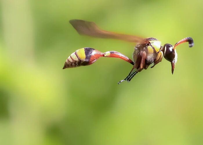 Whoa, These Tiny Creatures Just Became Superstars Thanks To A Smartphone!