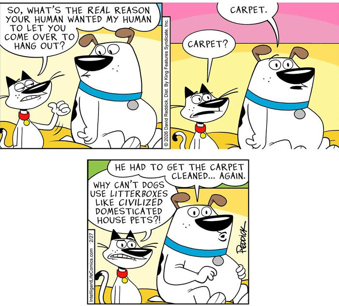 Wait Till You See These 30 Comics That Nail Modern Life's Weirdness