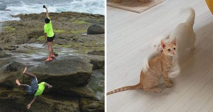 The 50 Pics Capturing Disaster Just Seconds Too Late (It’s Hilarious!)