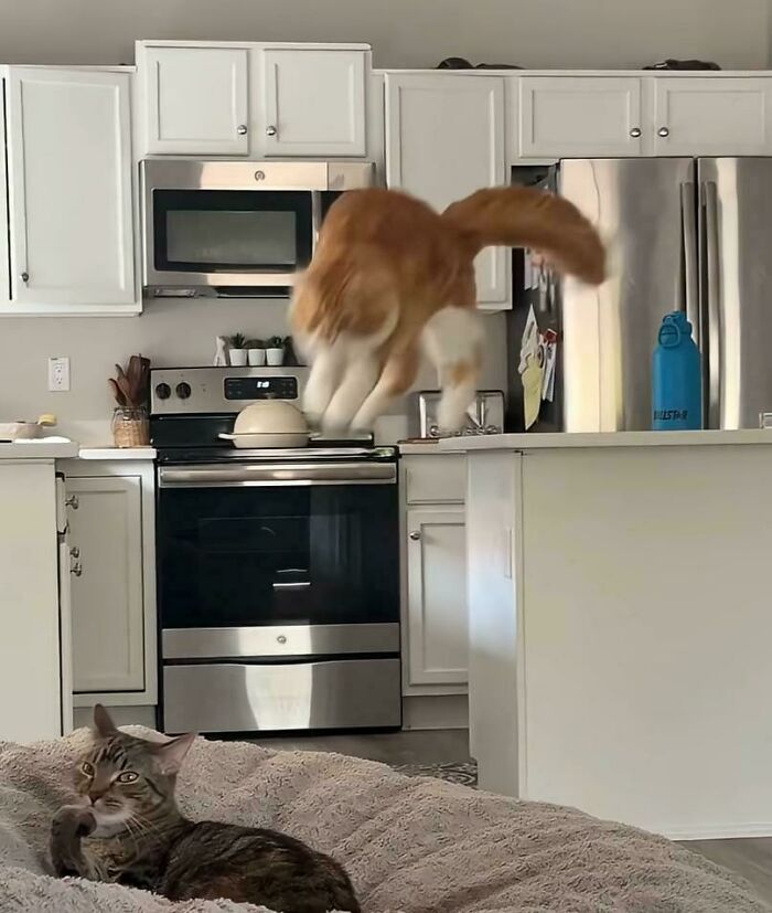 She Has Zero Clue What's About To Happen