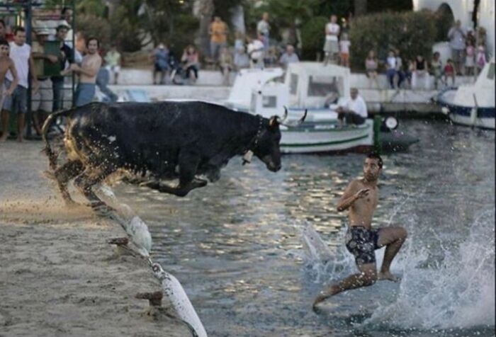 Bull’s About To Make A Big Entrance