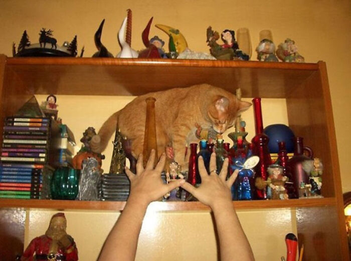 Moments Before The Chaos