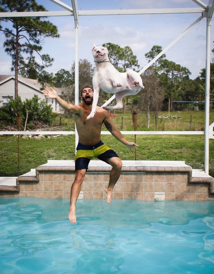 The 50 Pics Capturing Disaster Just Seconds Too Late (It's Hilarious!)