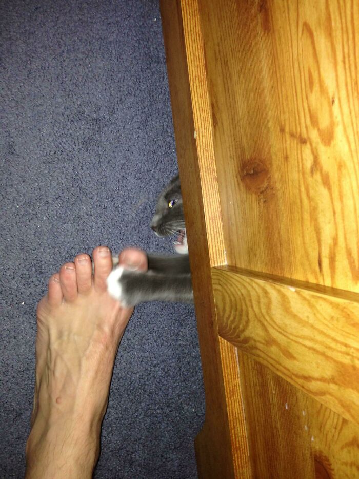 The 50 Pics Capturing Disaster Just Seconds Too Late (It's Hilarious!)
