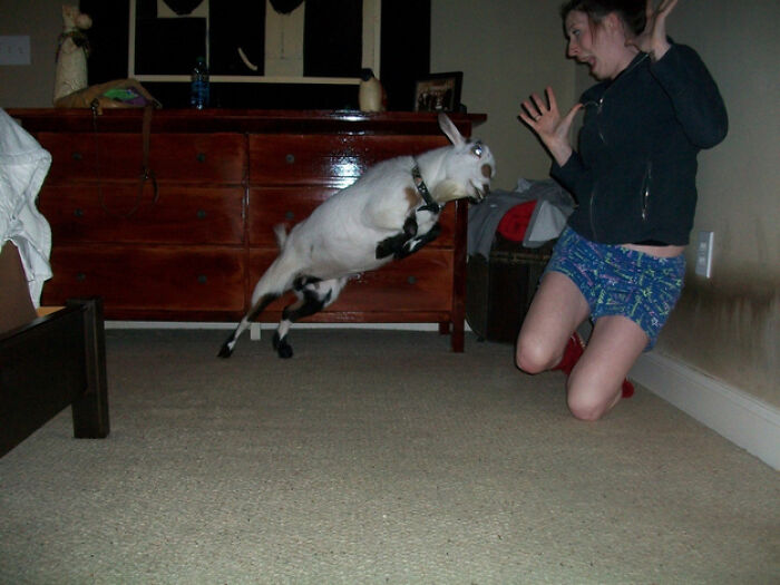 The 50 Pics Capturing Disaster Just Seconds Too Late (It's Hilarious!)