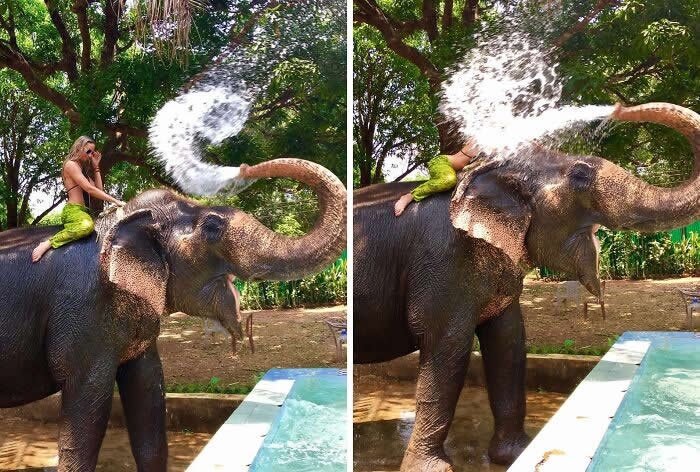 The 50 Pics Capturing Disaster Just Seconds Too Late (It's Hilarious!)