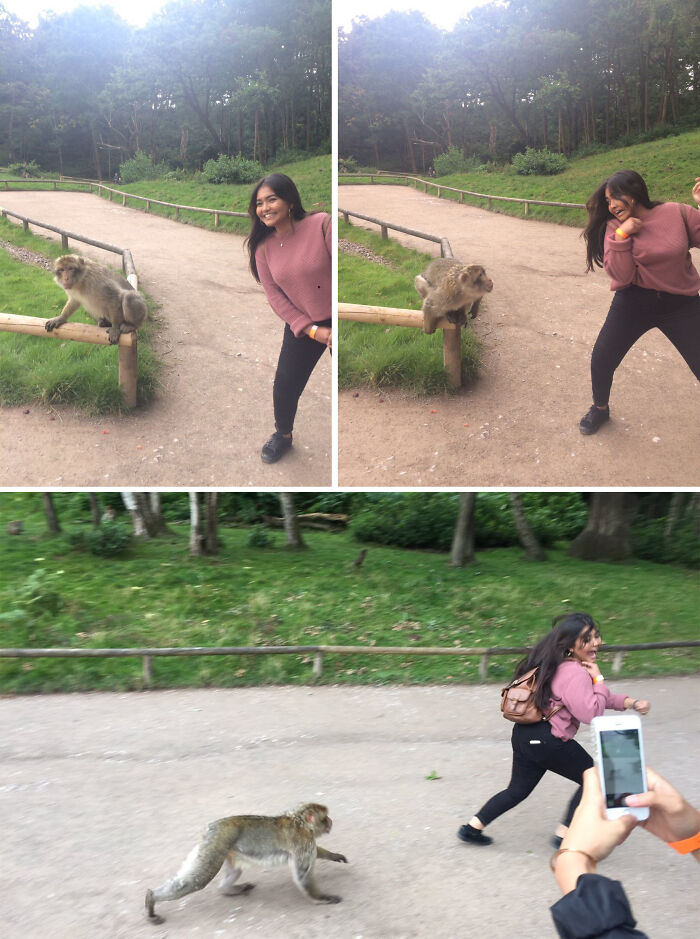 The 50 Pics Capturing Disaster Just Seconds Too Late (It's Hilarious!)