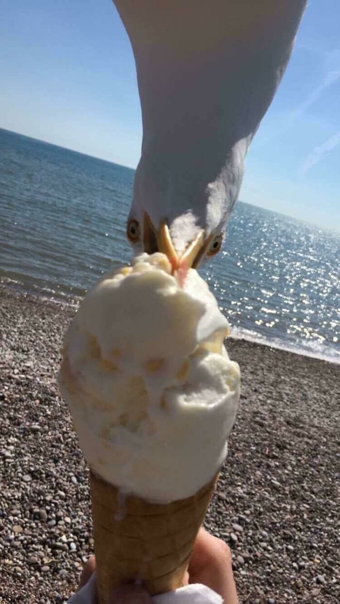 The 50 Pics Capturing Disaster Just Seconds Too Late (It's Hilarious!)