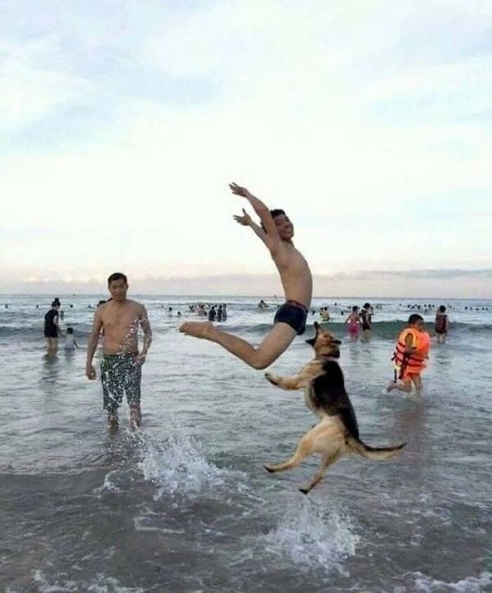 The 50 Pics Capturing Disaster Just Seconds Too Late (It's Hilarious!)