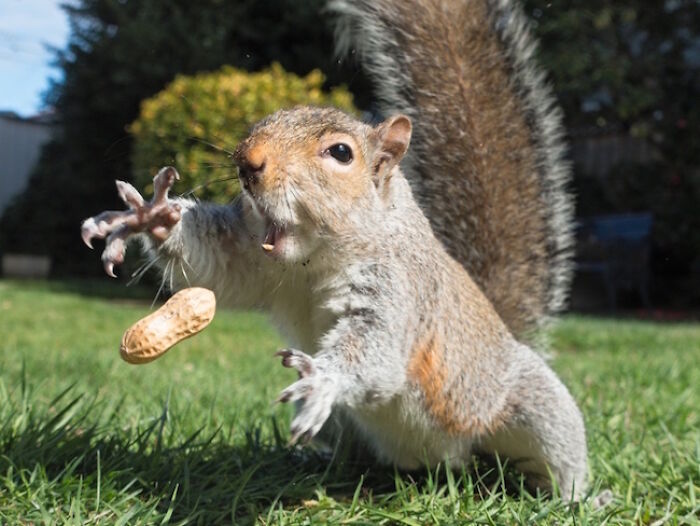 The 50 Pics Capturing Disaster Just Seconds Too Late (It's Hilarious!)