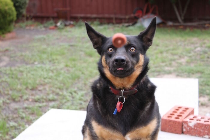 The 50 Pics Capturing Disaster Just Seconds Too Late (It's Hilarious!)
