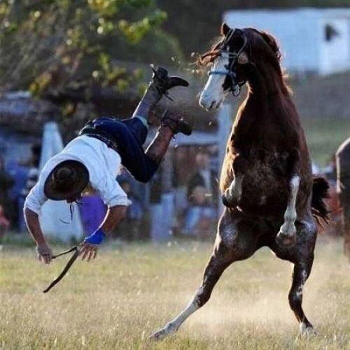 The 50 Pics Capturing Disaster Just Seconds Too Late (It's Hilarious!)