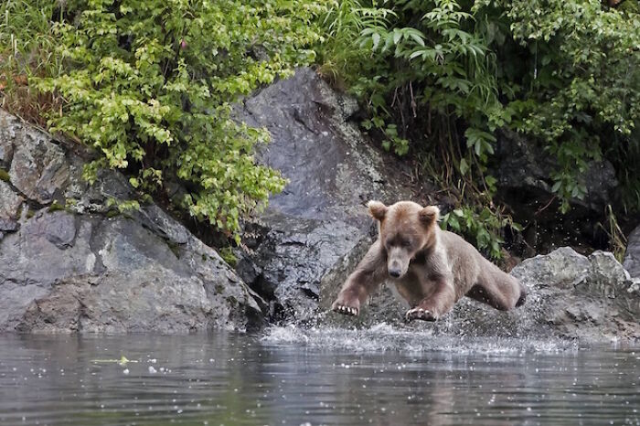 The 50 Pics Capturing Disaster Just Seconds Too Late (It's Hilarious!)