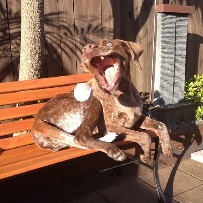 The 50 Pics Capturing Disaster Just Seconds Too Late (It's Hilarious!)