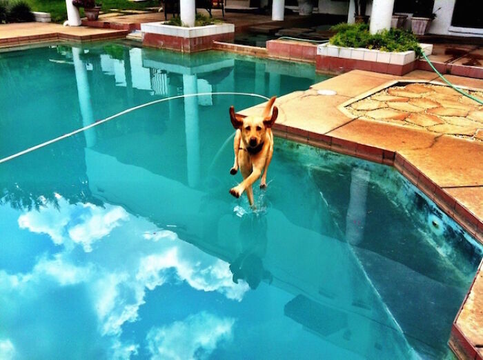 The 50 Pics Capturing Disaster Just Seconds Too Late (It's Hilarious!)