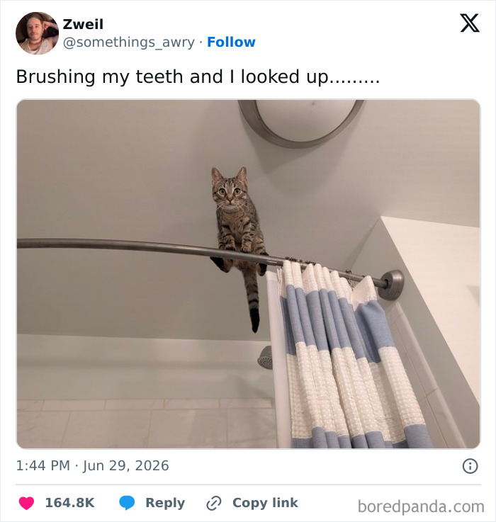 79 Tweets From June That Will Totally Crack You Up