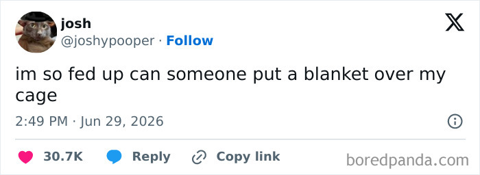 79 Tweets From June That Will Totally Crack You Up