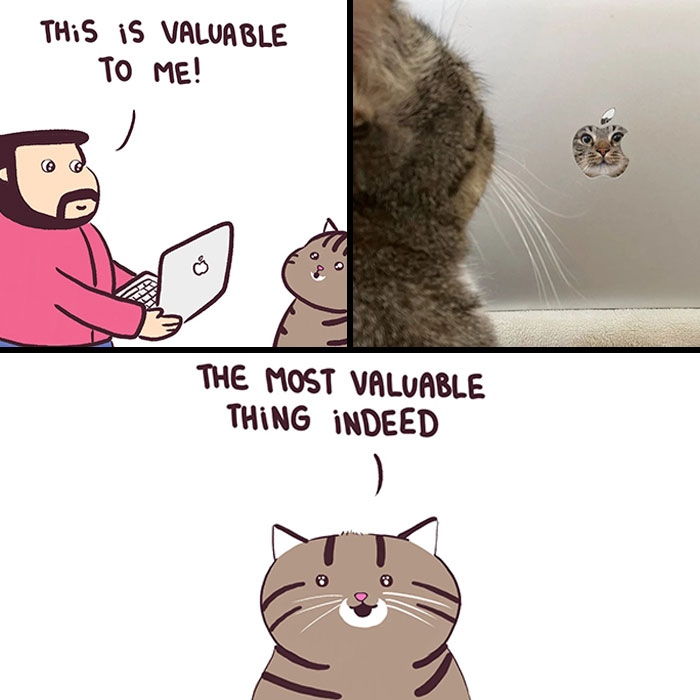 Hilarious Animal Comics That Totally Guess What’s Really Going On