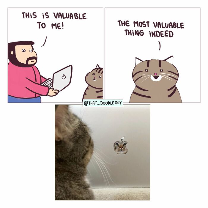 Hilarious Animal Comics That Totally Guess What’s Really Going On