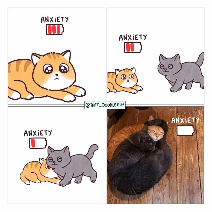 Hilarious Animal Comics That Totally Guess What’s Really Going On