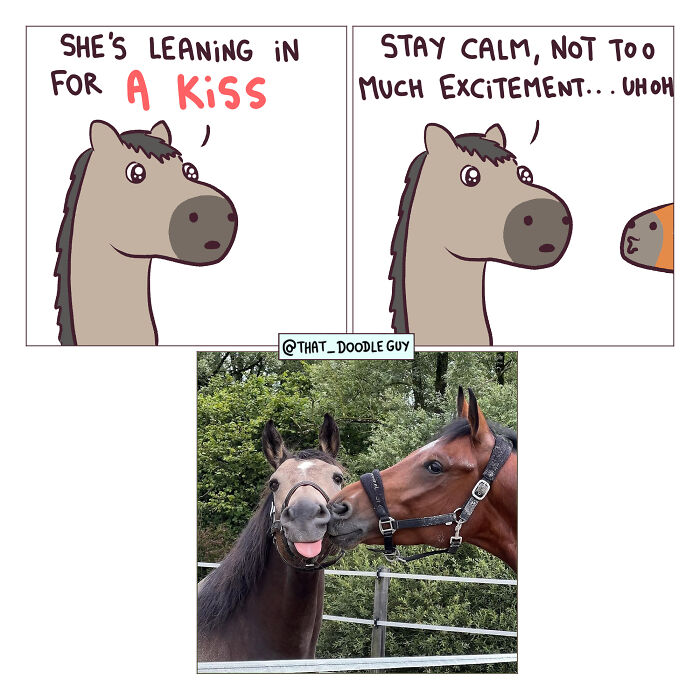 Hilarious Animal Comics That Totally Guess What’s Really Going On