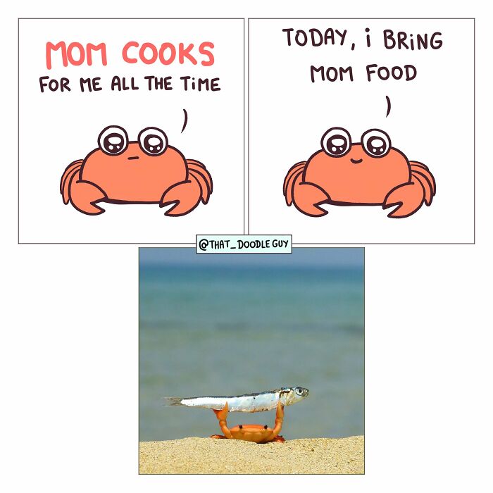 Hilarious Animal Comics That Totally Guess What’s Really Going On