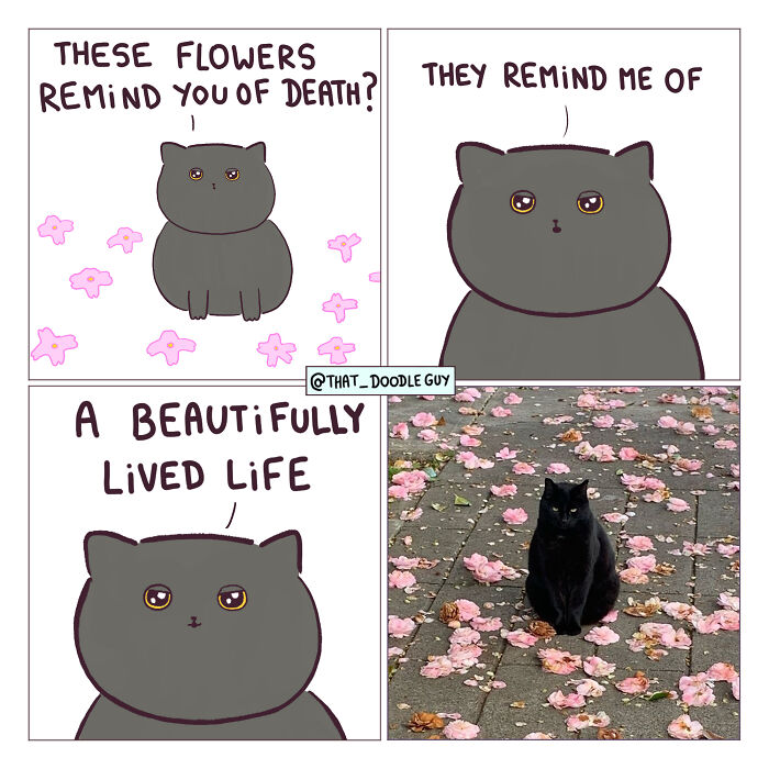Hilarious Animal Comics That Totally Guess What’s Really Going On