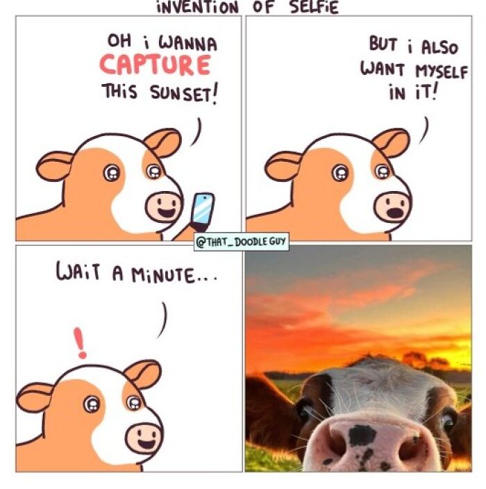 Hilarious Animal Comics That Totally Guess What’s Really Going On