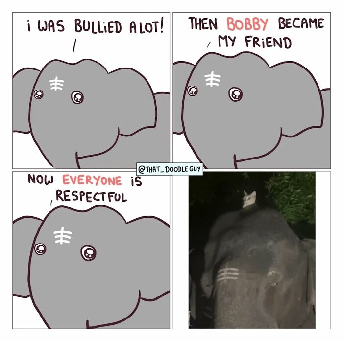 Hilarious Animal Comics That Totally Guess What’s Really Going On