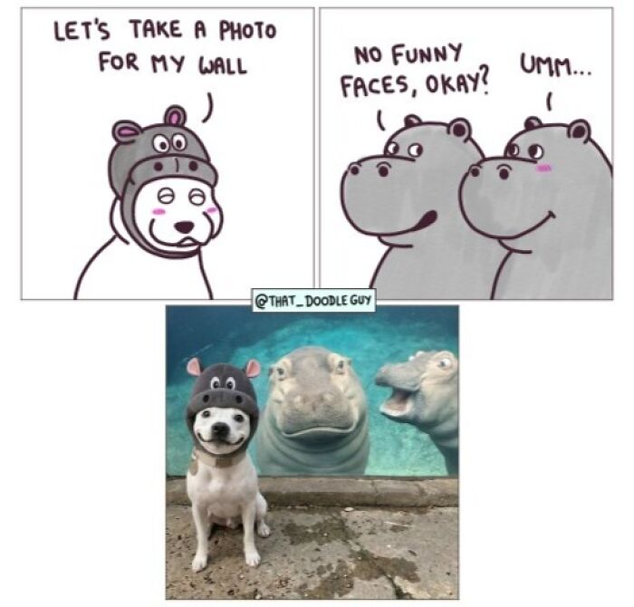 Hilarious Animal Comics That Totally Guess What’s Really Going On