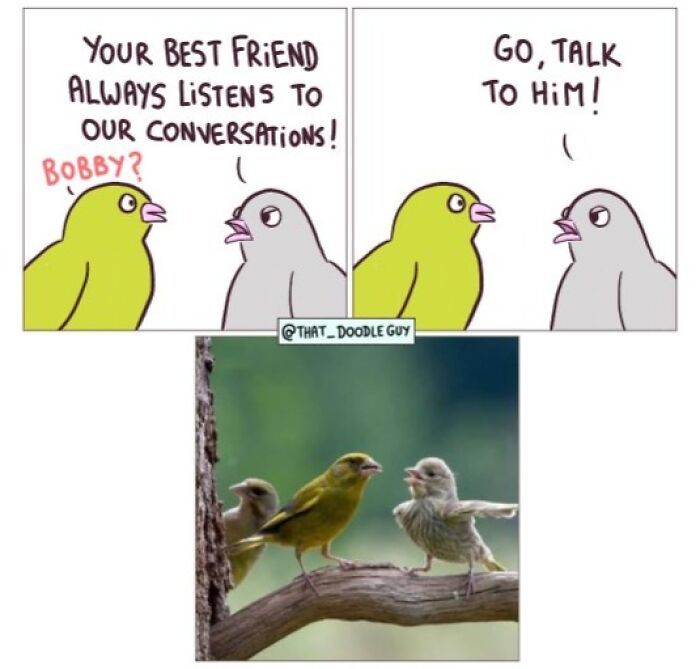 Hilarious Animal Comics That Totally Guess What’s Really Going On
