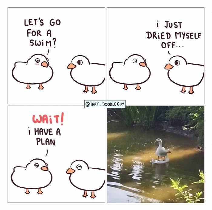 Hilarious Animal Comics That Totally Guess What’s Really Going On