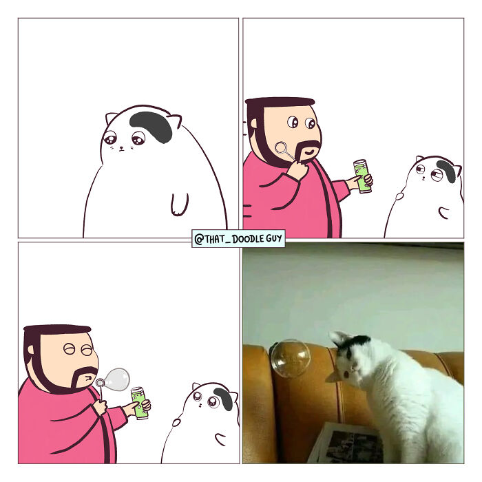 Hilarious Animal Comics That Totally Guess What’s Really Going On