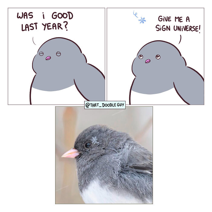 Hilarious Animal Comics That Totally Guess What’s Really Going On