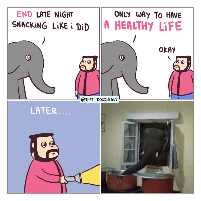 Hilarious Animal Comics That Totally Guess What’s Really Going On