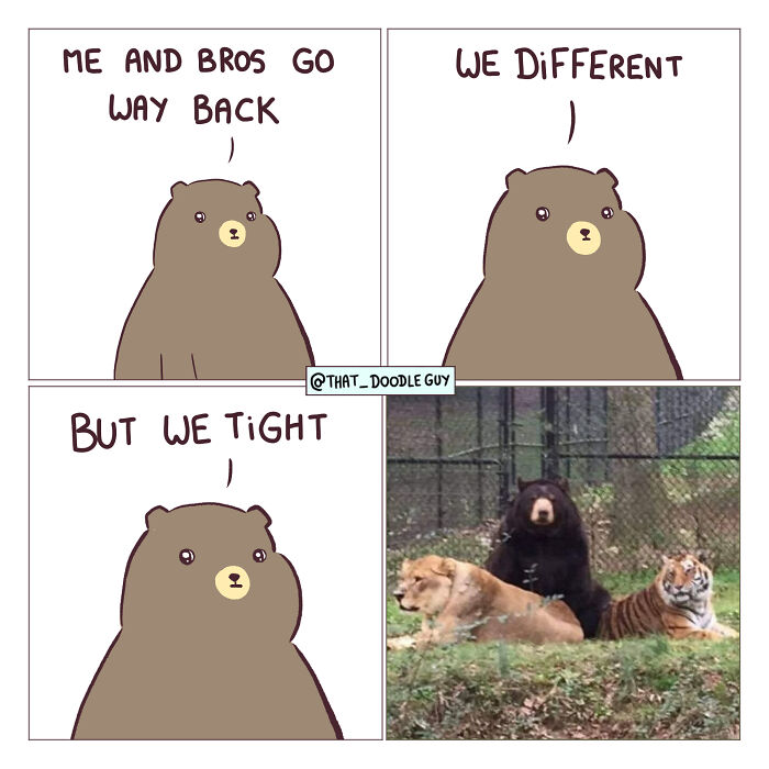 Hilarious Animal Comics That Totally Guess What’s Really Going On