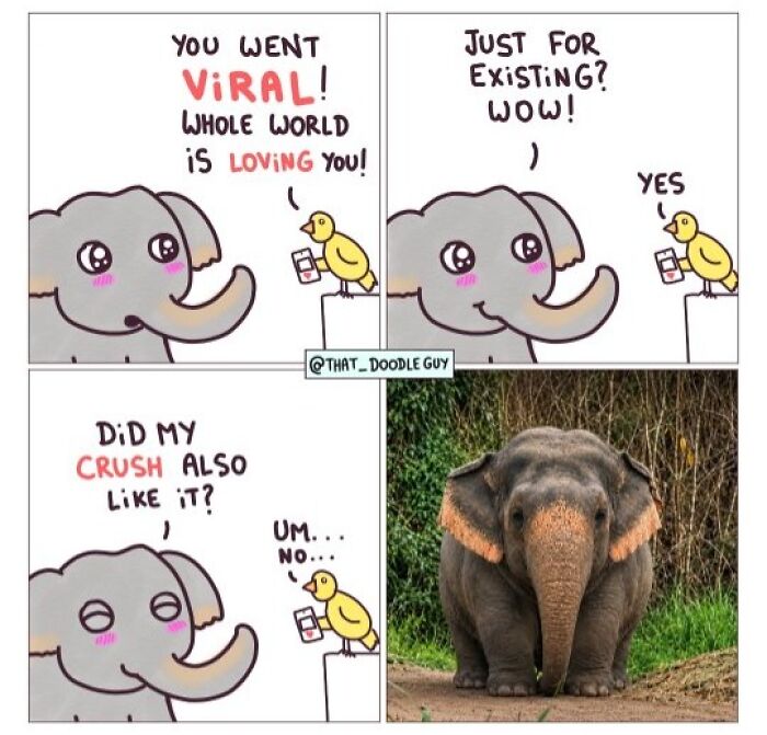 Hilarious Animal Comics That Totally Guess What’s Really Going On