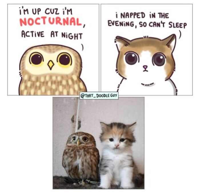 Hilarious Animal Comics That Totally Guess What’s Really Going On