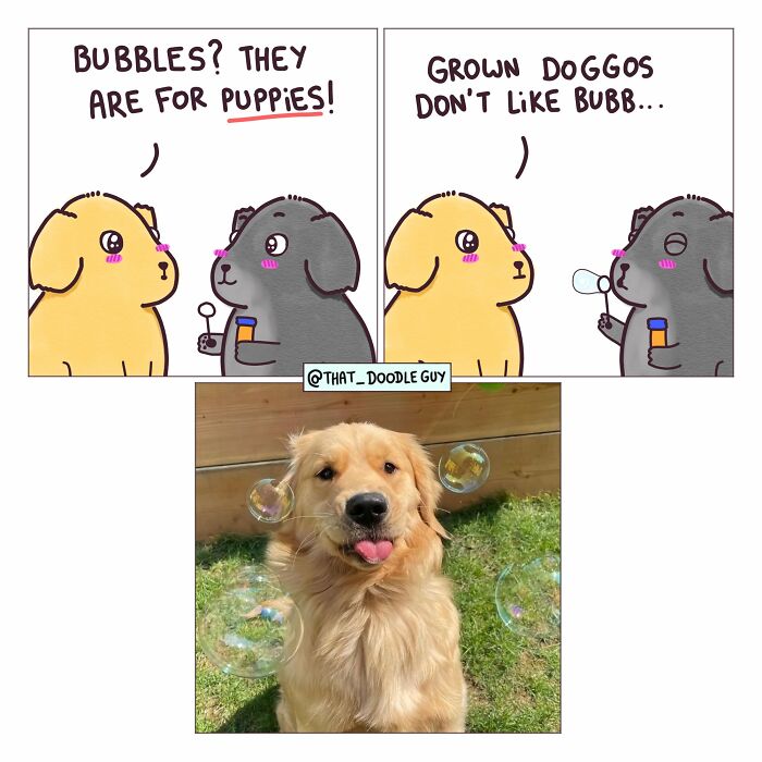 Hilarious Animal Comics That Totally Guess What’s Really Going On