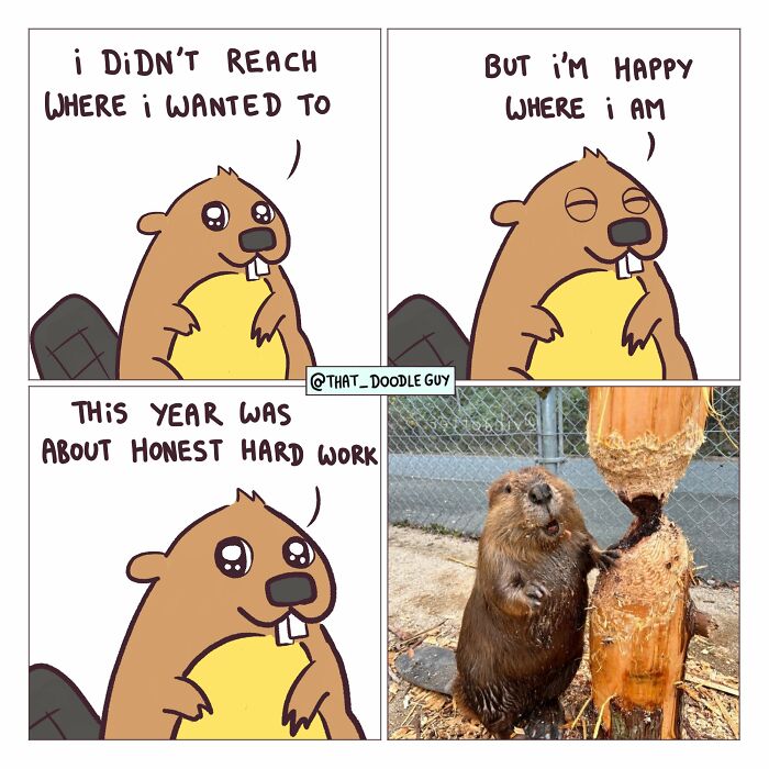 Hilarious Animal Comics That Totally Guess What’s Really Going On