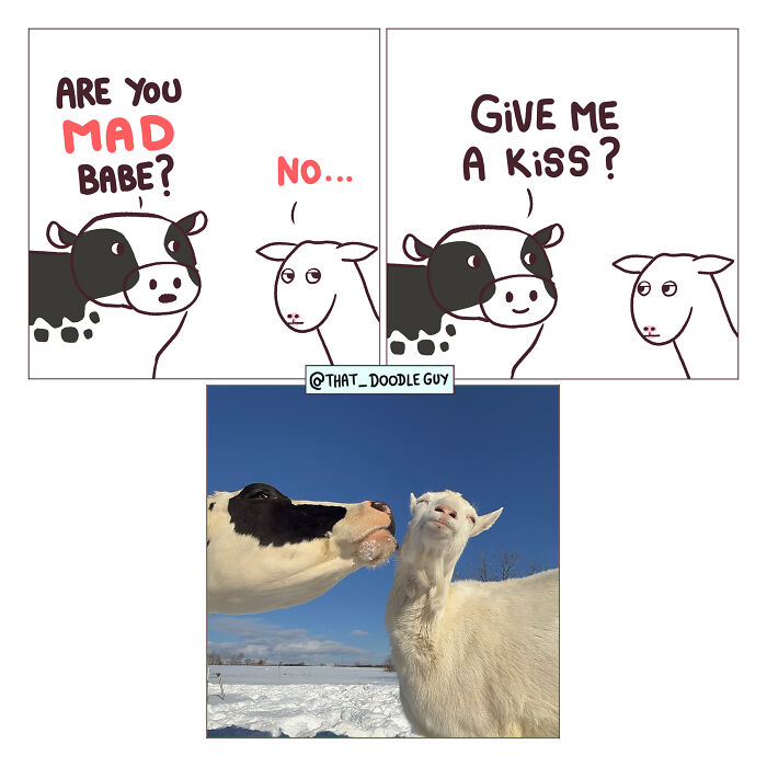 Hilarious Animal Comics That Totally Guess What’s Really Going On