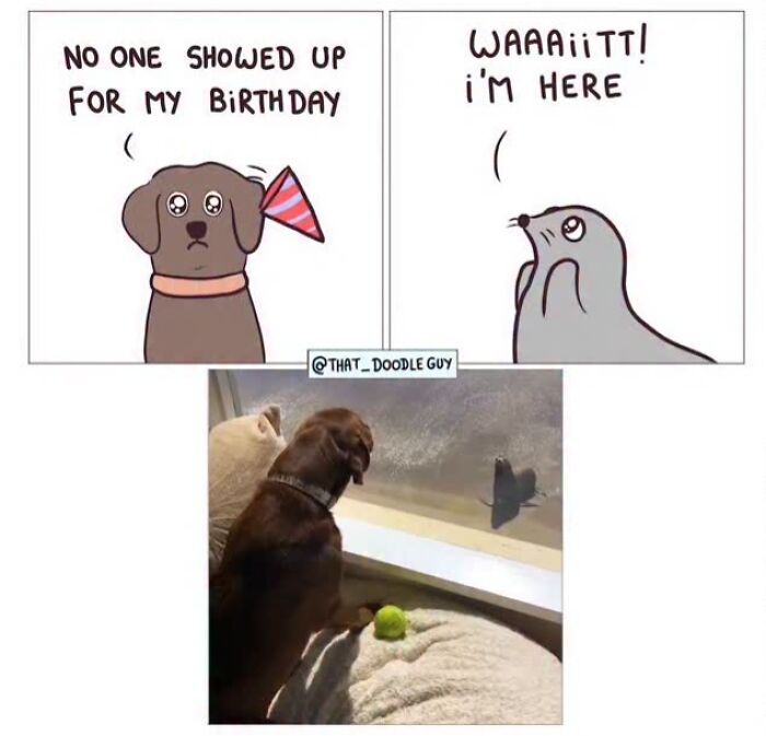 Hilarious Animal Comics That Totally Guess What’s Really Going On