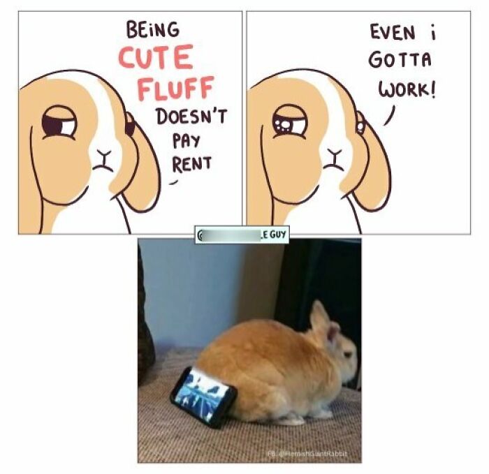Hilarious Animal Comics That Totally Guess What’s Really Going On