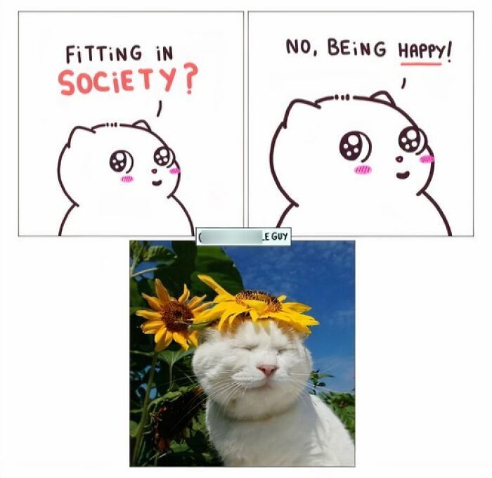Hilarious Animal Comics That Totally Guess What’s Really Going On